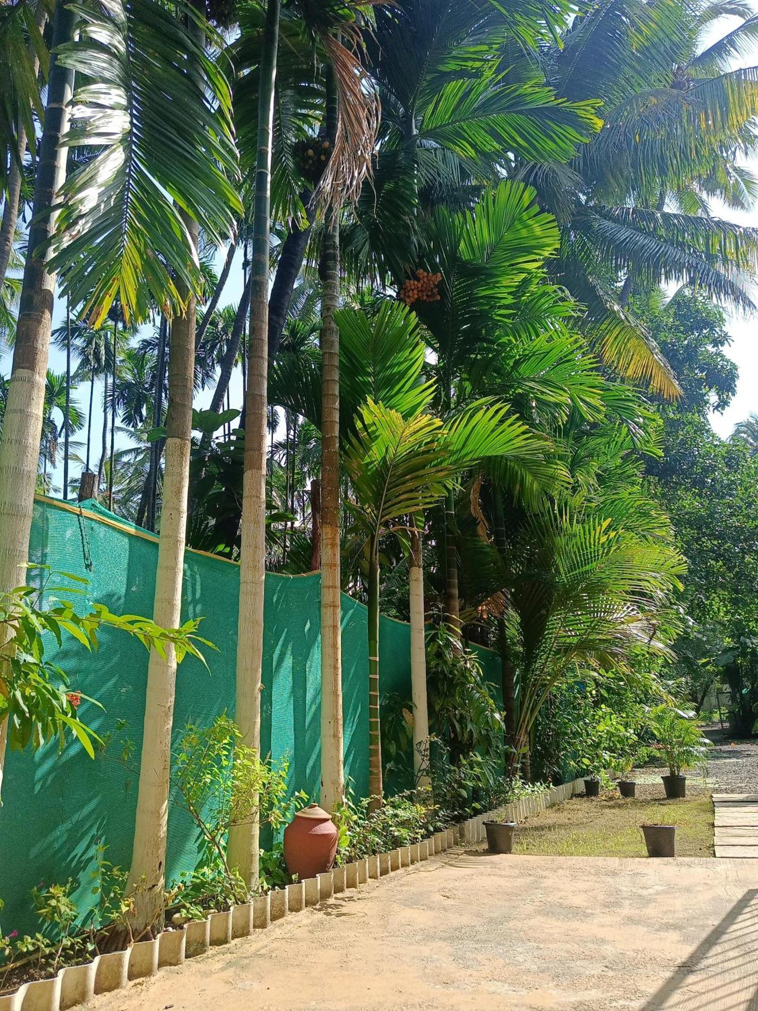Blossom Villa Alībāg Ngoại thất bức ảnh